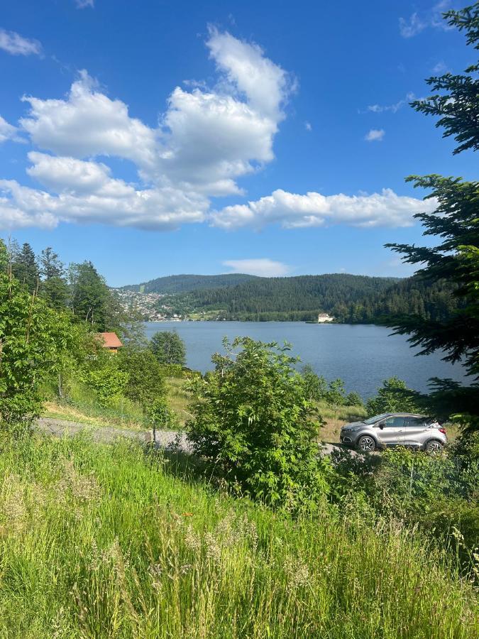 Appartement Cocooning Corcieux Zewnętrze zdjęcie